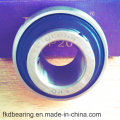 Bearing, Uc Bearing, Insert Bearing, Pillow Block Bearing